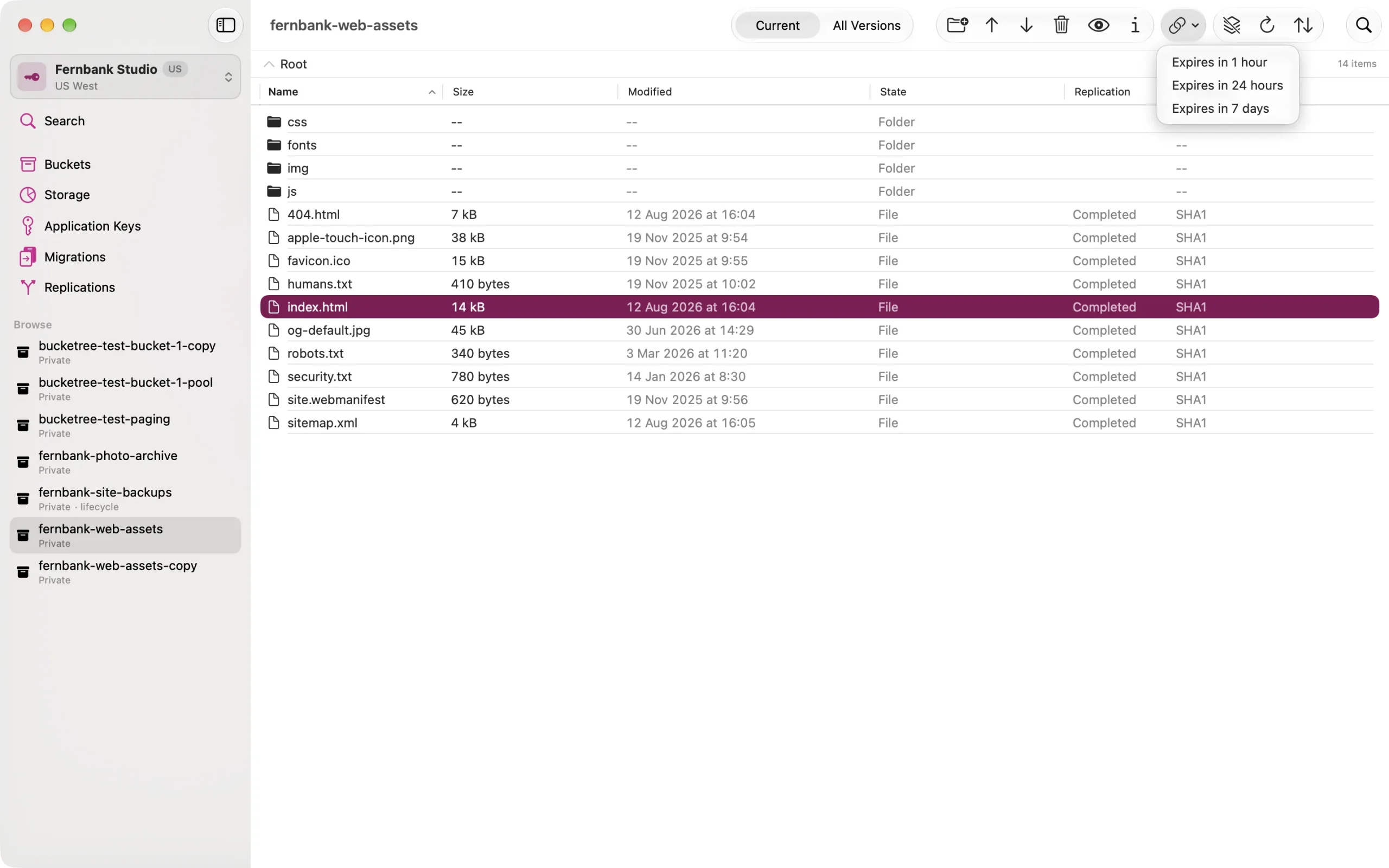 share-link Copying a share link with a real expiry