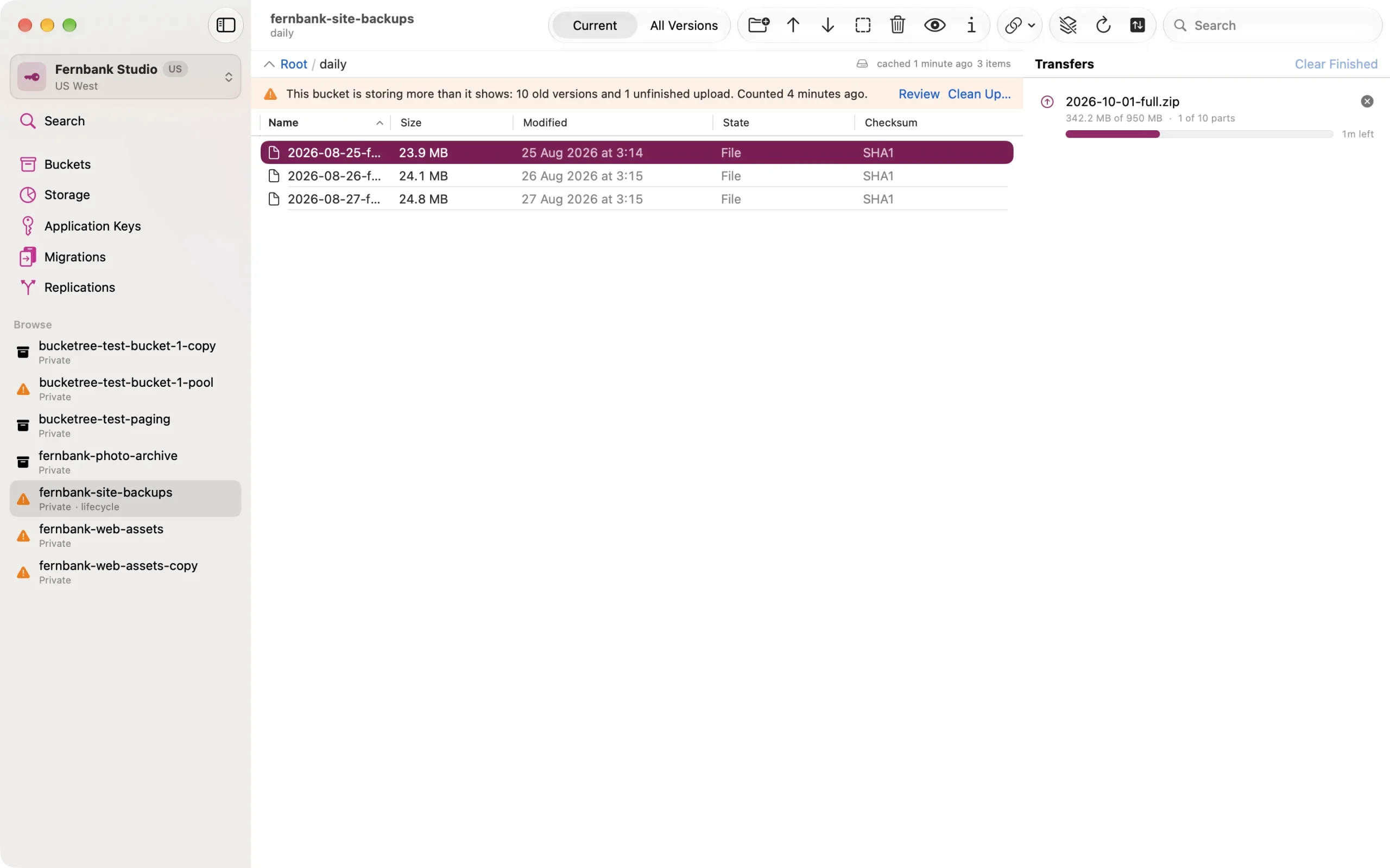 transfers The Bucketree transfer queue with per-file checksum results